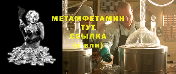 прущие грибы Верея