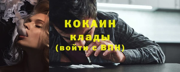 прущие грибы Верея