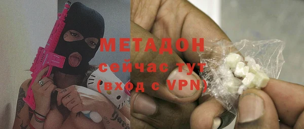прущие грибы Верея