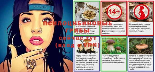 PSILOCYBIN Верхний Тагил