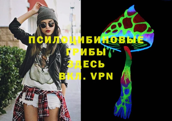spice Вяземский