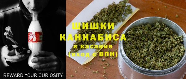 стаф Вязьма