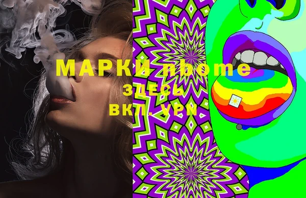 стаф Вязьма