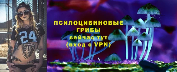 spice Вяземский