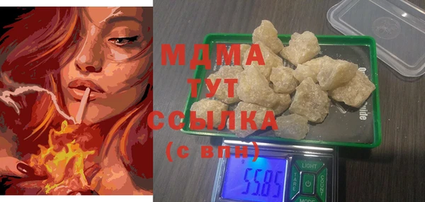 прущие грибы Верея