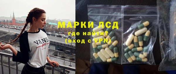 стаф Вязьма