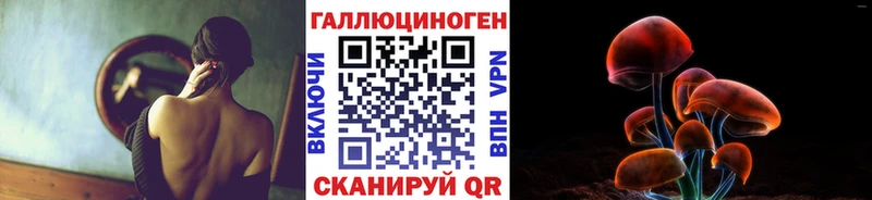 Псилоцибиновые грибы Psilocybine cubensis  Заринск 